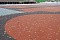 Тротуарная клинкерная брусчатка Penter Baltic Klinker Pavers Classic, 200*100*52 мм