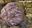 Валун Мрамор розовый, 100-300 мм