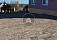 Тротуарная плитка Инсбрук Тироль, 60 мм, ColorMix Берилл, бассировка